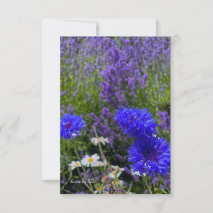 Batchelor Buttons & Lavender Card