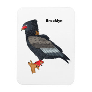 Bateleur Eagle illustration  Magnet