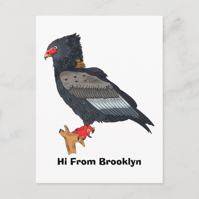 Bateleur Eagle illustration  Postcard (Front)
