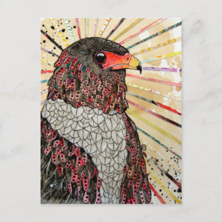 Bateleur Eagle Postcard