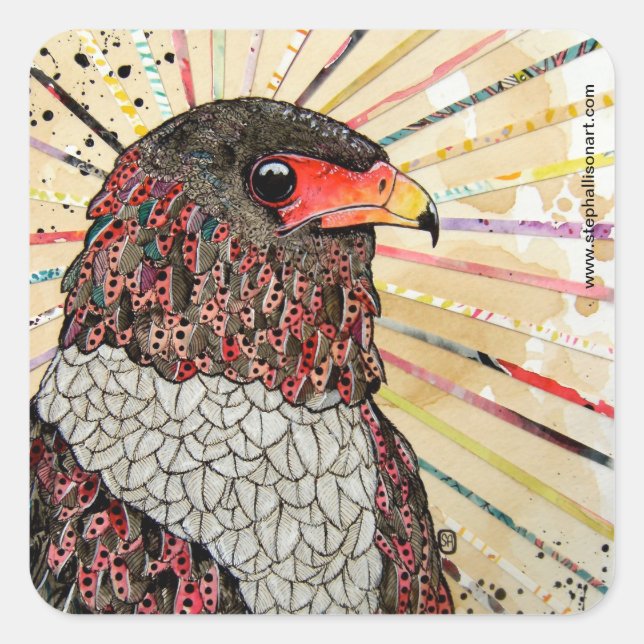 Bateleur Eagle Square Sticker (Front)