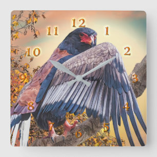 Bateleur Eagle "SUN DANCER" Square Wall Clock