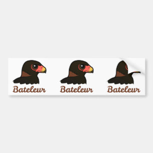 Bateleur Profile Bumper Sticker