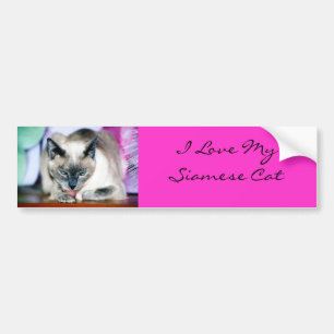 Bath 4 Harmony/I Love My Siamese Bumper Sticker