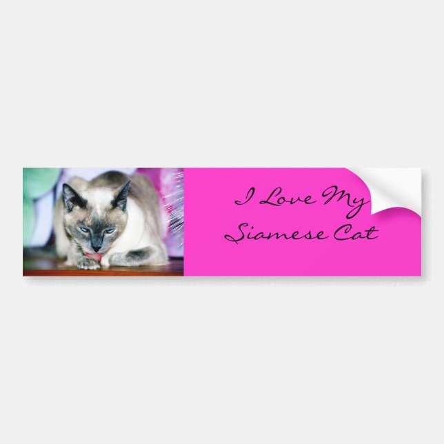 Bath 4 Harmony/I Love My Siamese Bumper Sticker (Front)