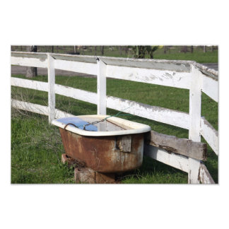 Bath on the Farm Photo Print