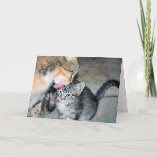 Bath time card (Front)