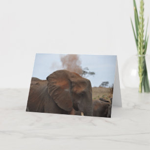Bath Time Card