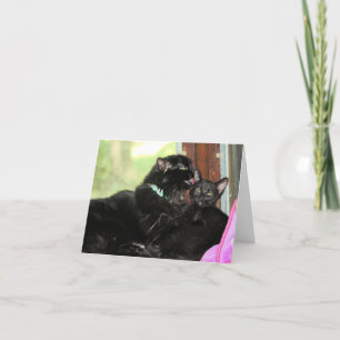 Bath time holiday card