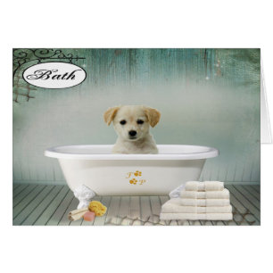 Bath time puppy