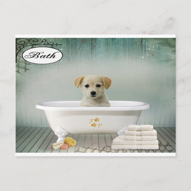 Bath time puppy postcard (Front)