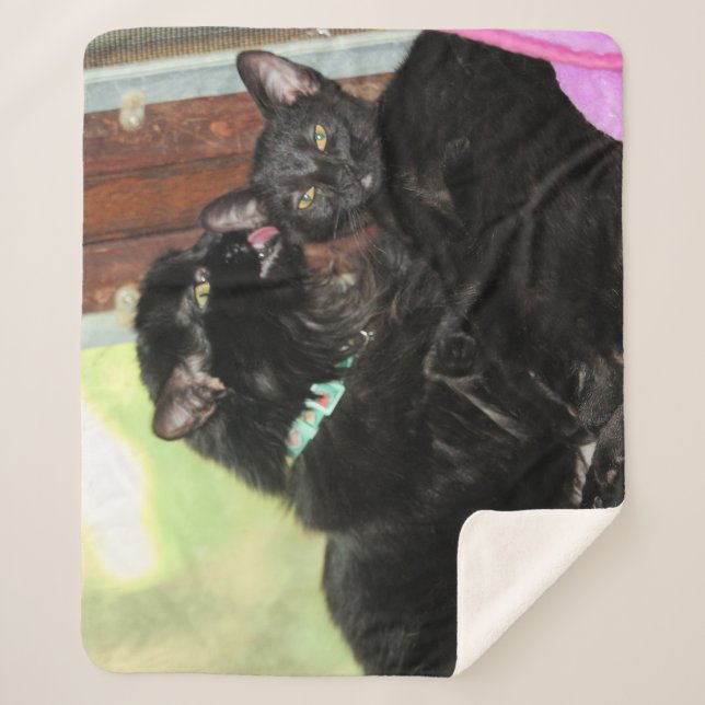 Bath time sherpa blanket (Front)