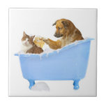 Bath time tile<br><div class="desc">Dog and cat in the bath tub</div>