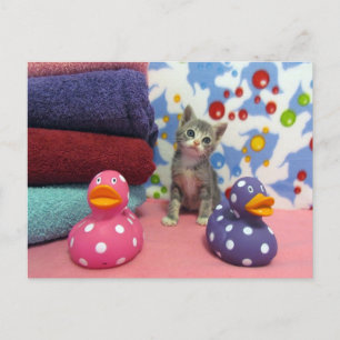 Bath Time with Aidan - Ccat Postcard