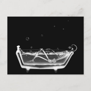 Bath Tub X-Ray Skeleton Black & White Postcard