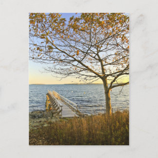 Bathed in Golden Light Postcard