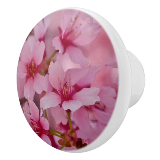 Bathed in Pink Japanese Cherry Blossoms Ceramic Knob (Right)