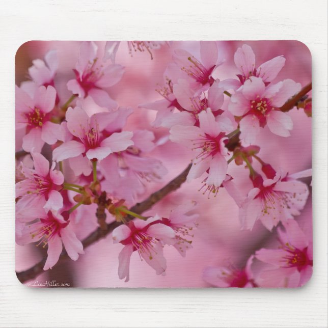 Bathed in Pink Japanese Cherry Blossoms Mouse Mat (Front)