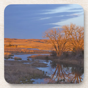 Bathed in sunset light the Calamus River Coaster