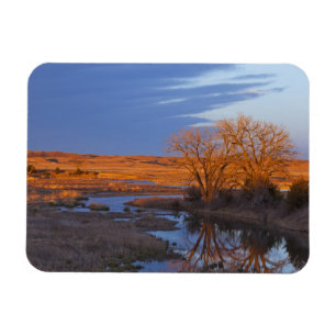 Bathed in sunset light the Calamus River Magnet