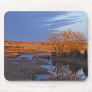 Bathed in sunset light the Calamus River Mouse Mat