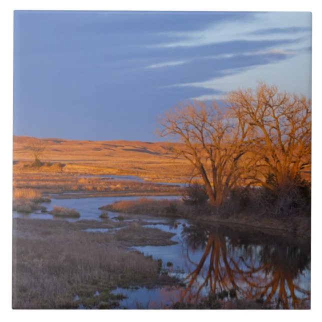 Bathed in sunset light the Calamus River Tile (Front)