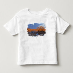 Bathed in sunset light the Calamus River Toddler T-Shirt