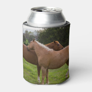 Bathing Beauties Can Cooler