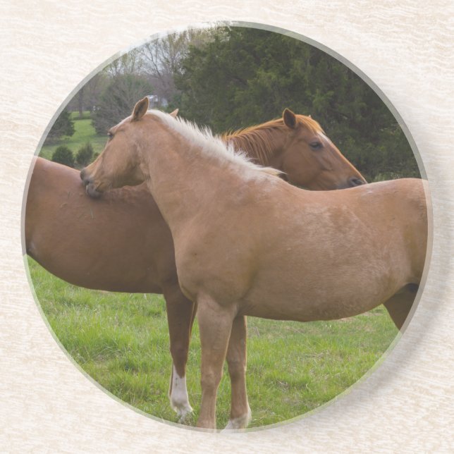 Bathing Beauties Coaster (Front)