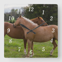 Bathing Beauties Wall Clock