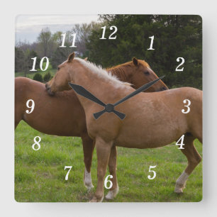 Bathing Beauties Wall Clock