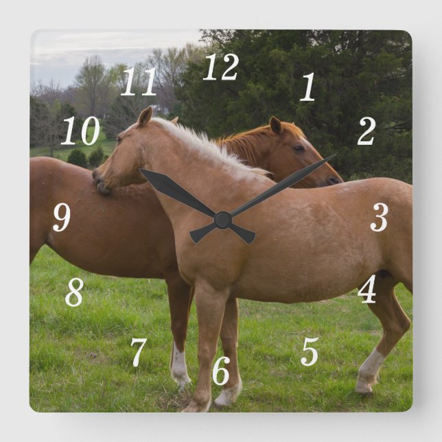 Bathing Beauties Wall Clock (Front)