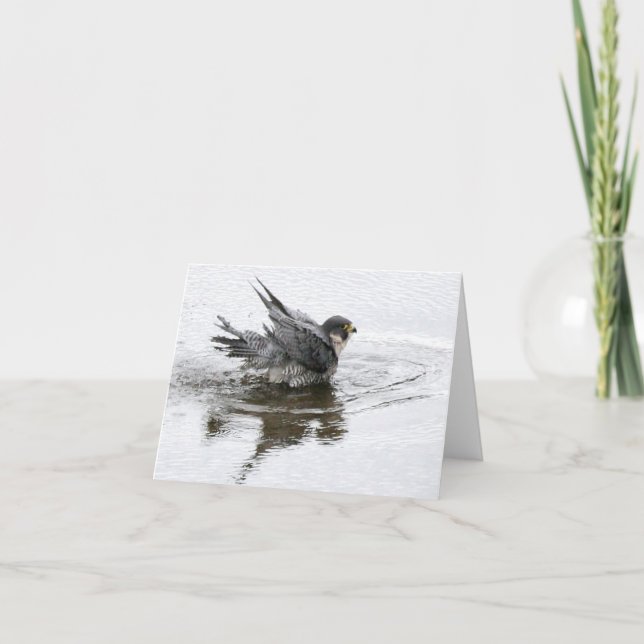 Bathing Beauty Note or Greeting Cards (Front)