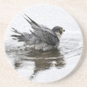 Bathing Beauty Sandstone Drink Coasters