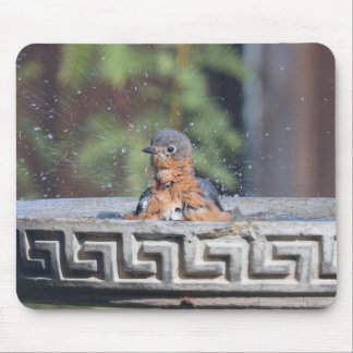 Bathing Bluebird Mouse Mat