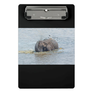 Bathing elephant mini clipboard