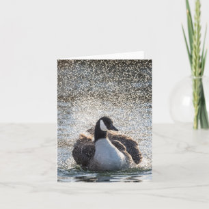 Bathing Goose Nature Photo Card
