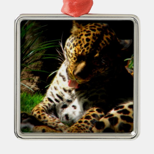 Bathing Leopard Metal Tree Decoration (Front)
