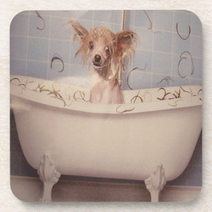 BATHING PUPPY COASTER