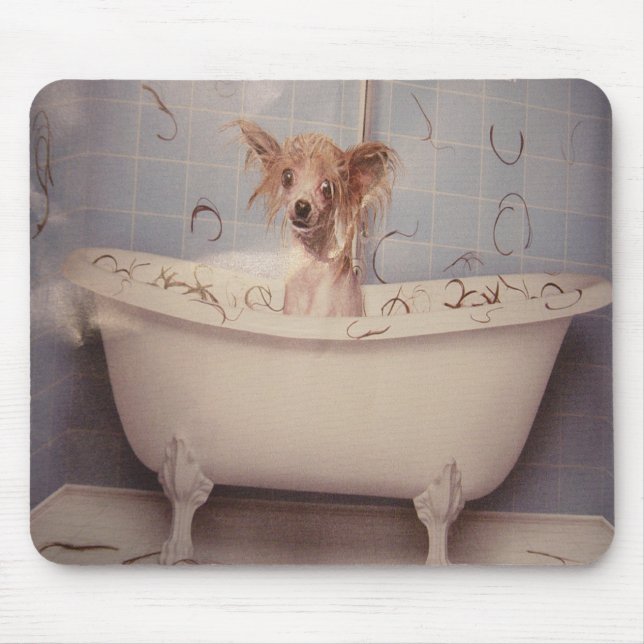 BATHING PUPPY MOUSE MAT (Front)