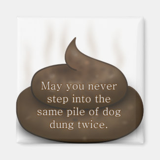 Bathroom Blessing: Don't Step in Poop Twice Magnet