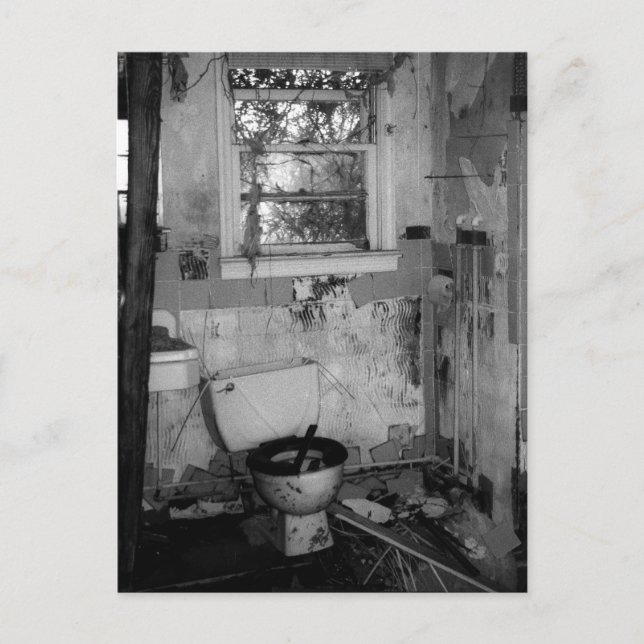 Bathroom Break Postcard (Front)