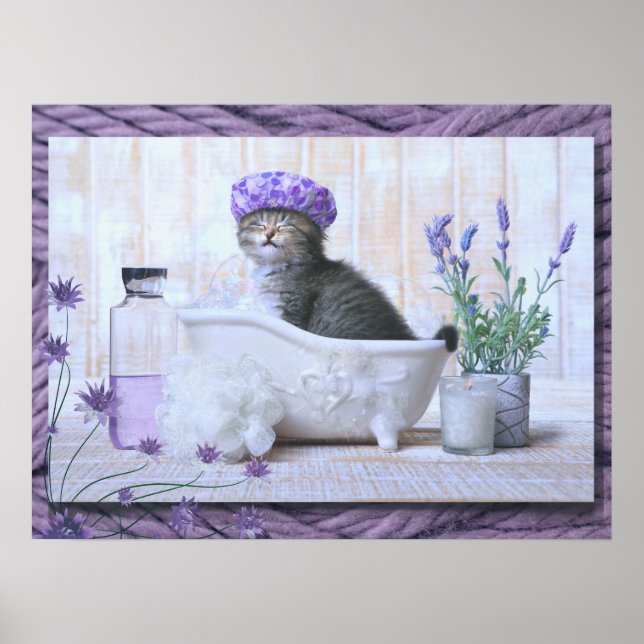 Bathroom Cat in a Tub  Poster (Front)