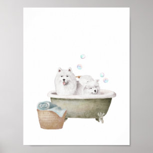 Bathroom Wall Art, Samoyed dogs in a vintage batht Poster