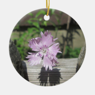 Baths Pink Dianthus on Fence Ceramic Tree Decoration