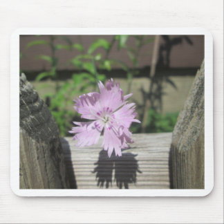 Baths Pink Dianthus on Fence Mouse Mat