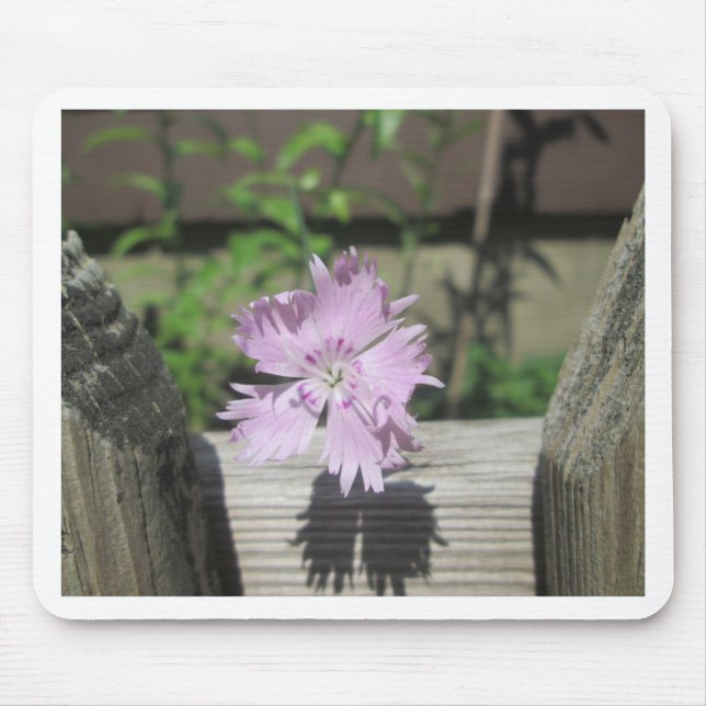 Baths Pink Dianthus on Fence Mouse Mat (Front)