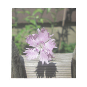 Baths Pink Dianthus on Fence Notepad