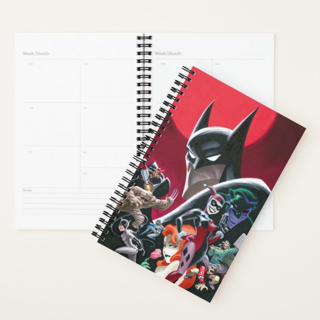 Batman Adventures Dangerous Dames & Demons Planner (Display)