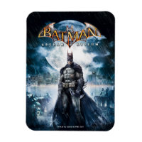Batman: Arkham Asylum | Game Cover Art